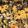 LaurieRohnerStudio